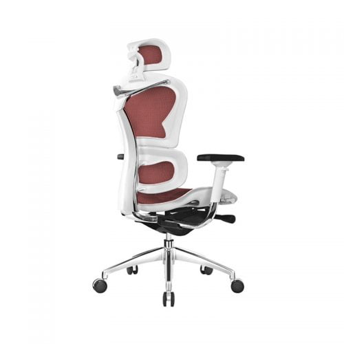 Best Ergonomic Mesh Office Computer Chair Lumbar Support