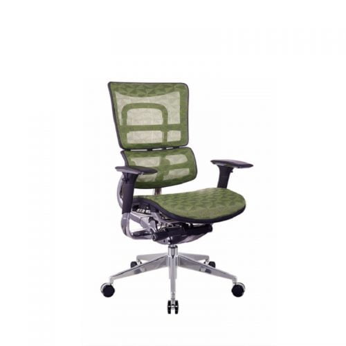 Wholesale Best Modern Multi-Functional Ergo Mesh Chairs 4