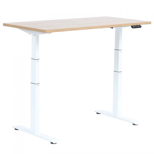 Stand Height Adjustable Desk